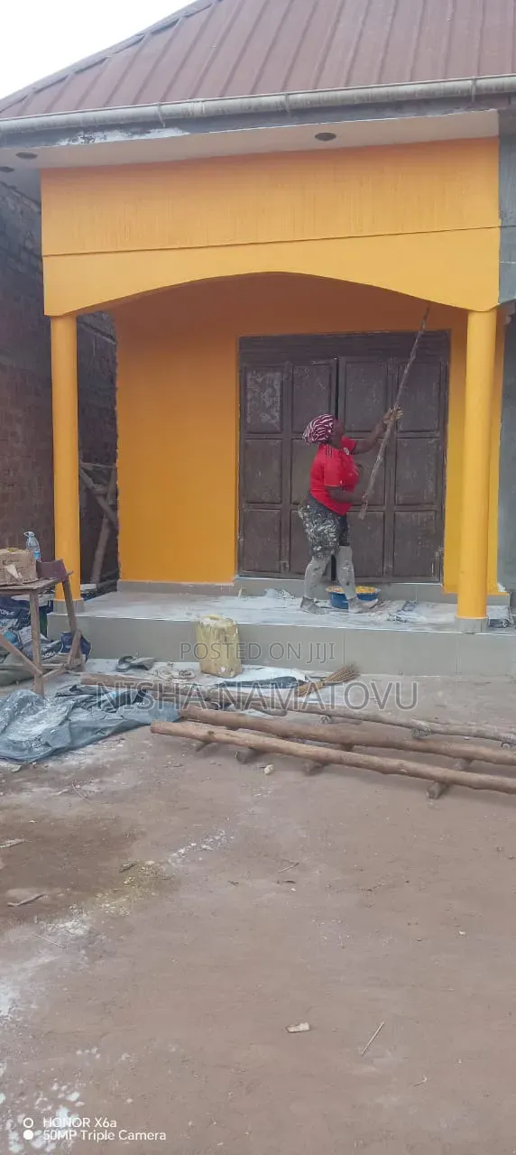 Professional Painting Services - Interior, Exterior Gypsum