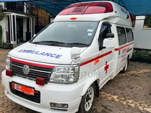 Nissan Caravan (Urvan) 2016 White