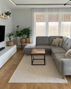 Nice Modernized Sofa Set