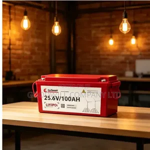 100ah 25.6v Go Power Hard Energy Lithium Battery (GoPower)