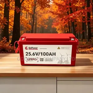 100ah 25.6v Go Power Hard Energy Lithium Battery (GoPower)
