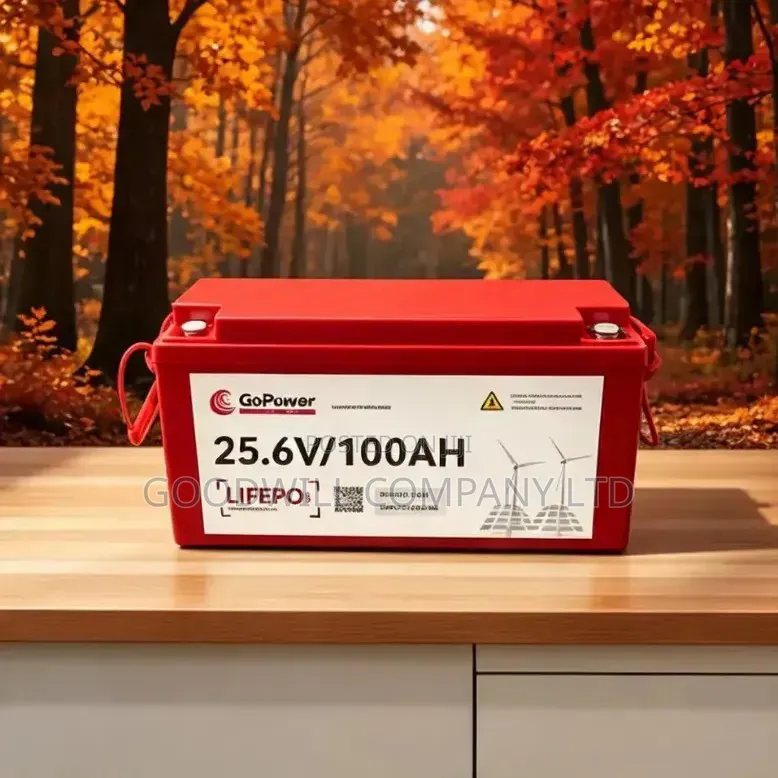 100ah 25.6v Go Power Hard Energy Lithium Battery (GoPower)