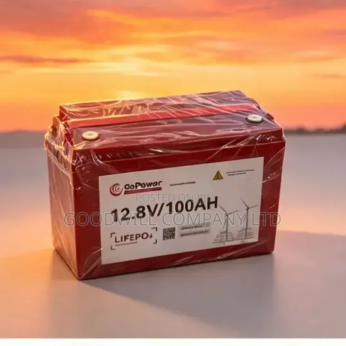 100ah 12.8v Moontyn Go Power Lithium Battery (GoPower)