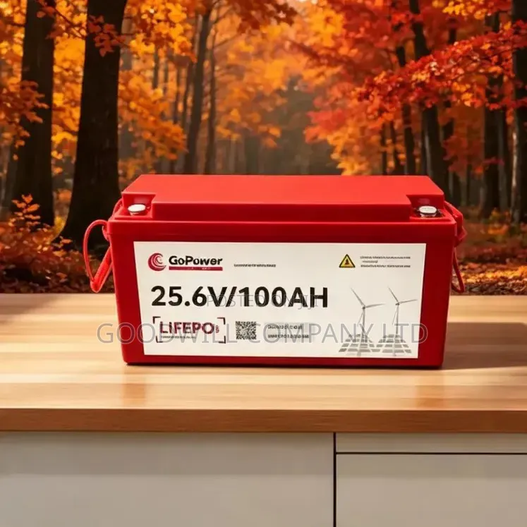 100ah 25.6v Interstellar Gopower Lithium Battery (Go Power)