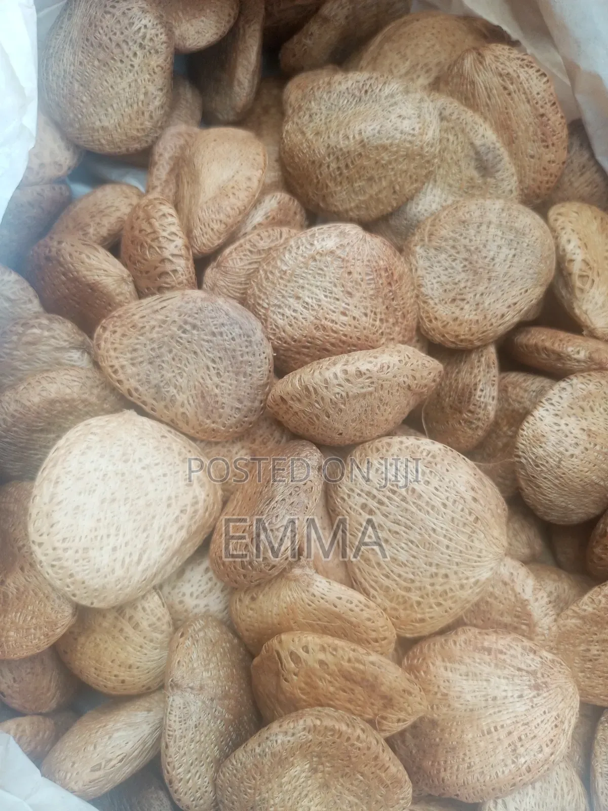 Oil Nuts (Kulekuka)
