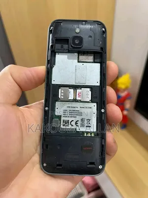 New Nokia 6300 Gray