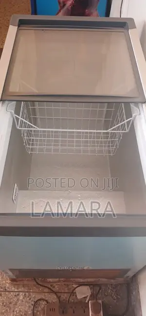 Display Freezer