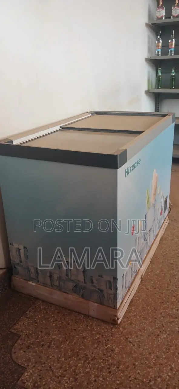 Display Freezer