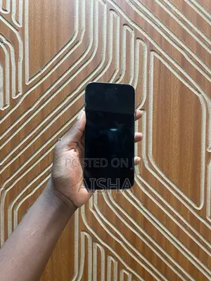 Apple iPhone 15 Pro Max 256 GB Gray