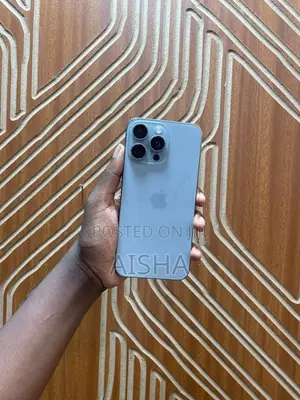 Apple iPhone 15 Pro Max 256 GB Gray
