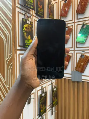 Apple iPhone 15 Pro Max 256 GB Gray