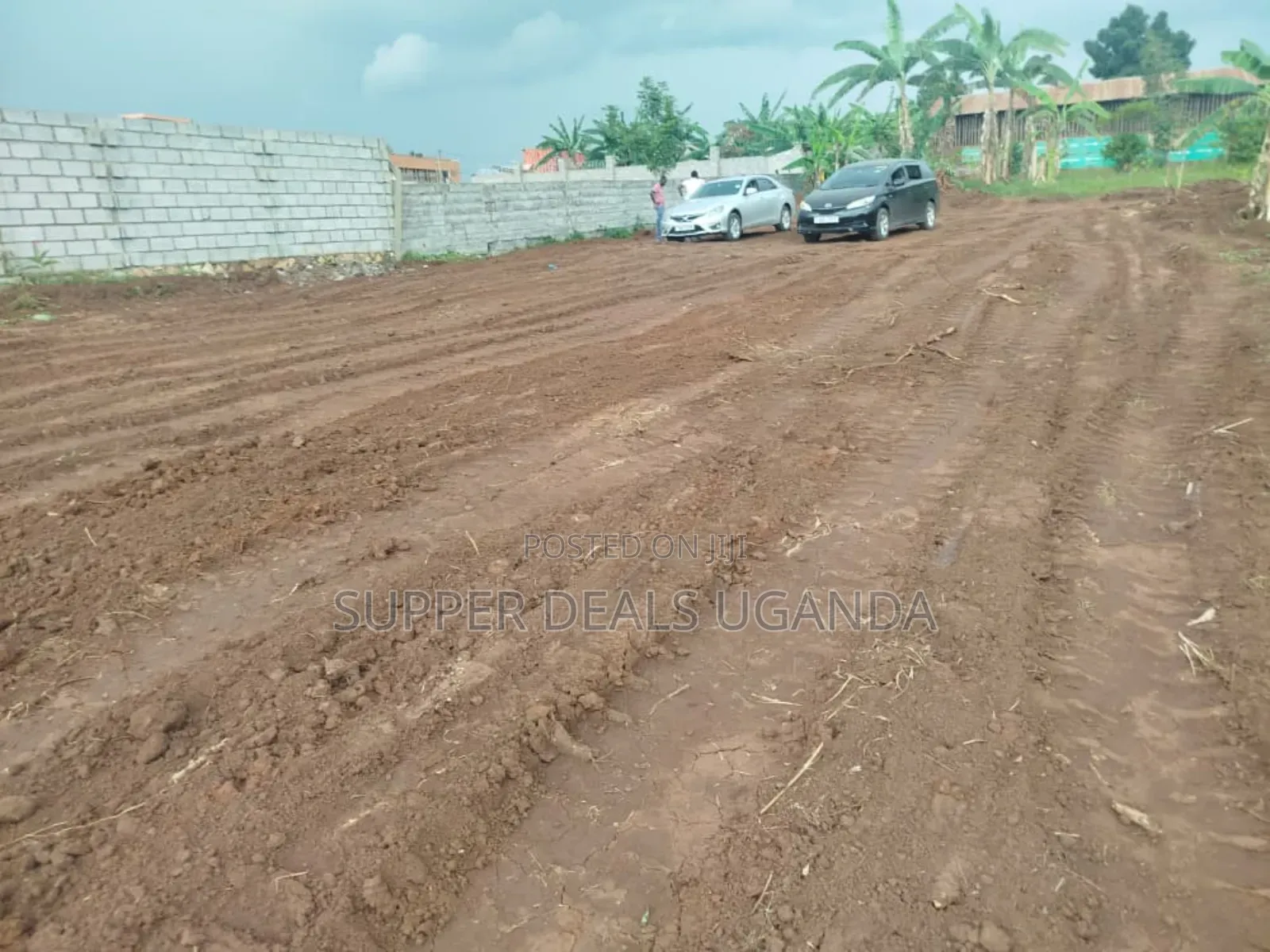 100by50 Ft Plot for Sale