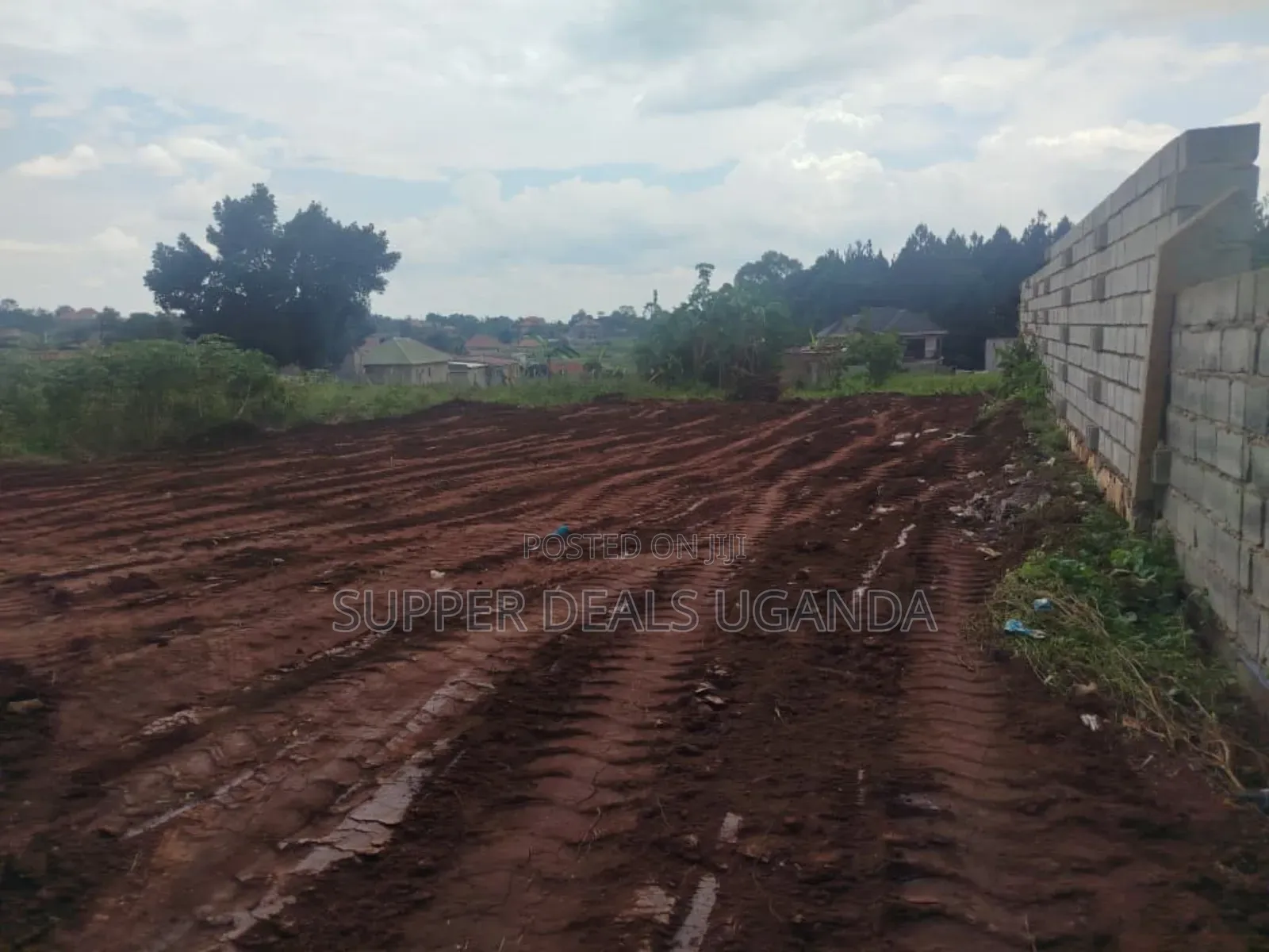 100by50 Ft Plot for Sale
