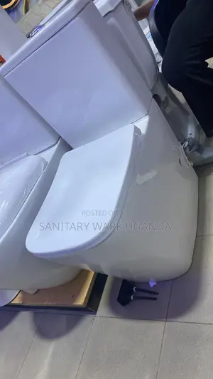 Toilet Masters