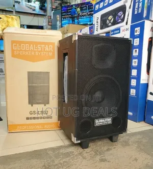 Rechargeable PA Party Speaker With Mic, Bluetooth, FM Radio, USB