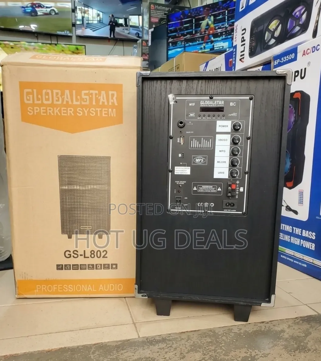 Rechargeable PA Party Speaker With Mic, Bluetooth, FM Radio, USB