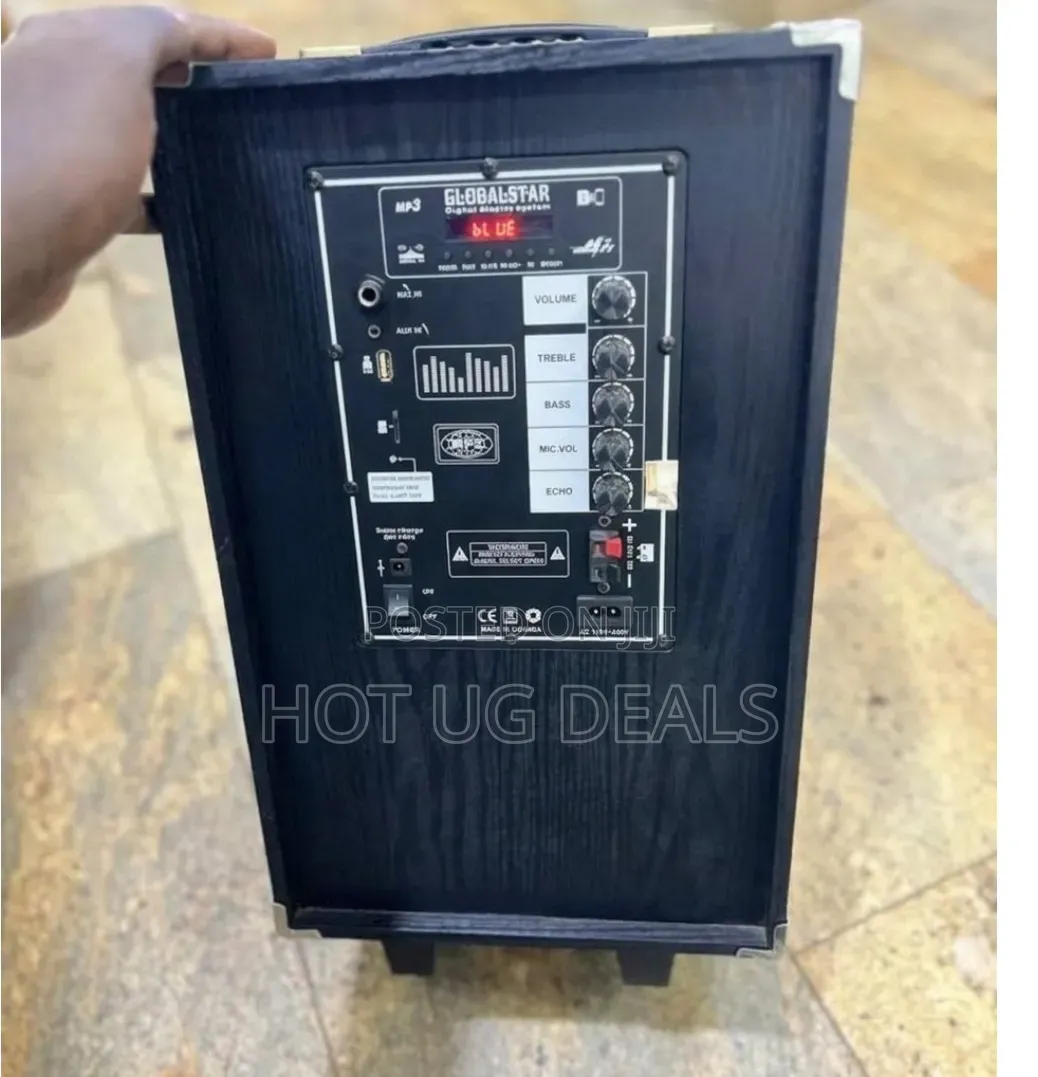 Rechargeable PA Party Speaker With Mic, Bluetooth, FM Radio, USB