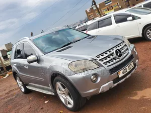 Mercedes-Benz M Class 2010 Gray