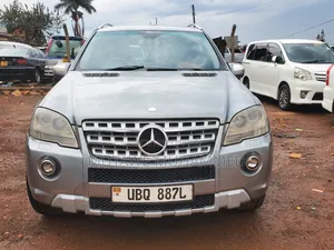Mercedes-Benz M Class 2010 Gray