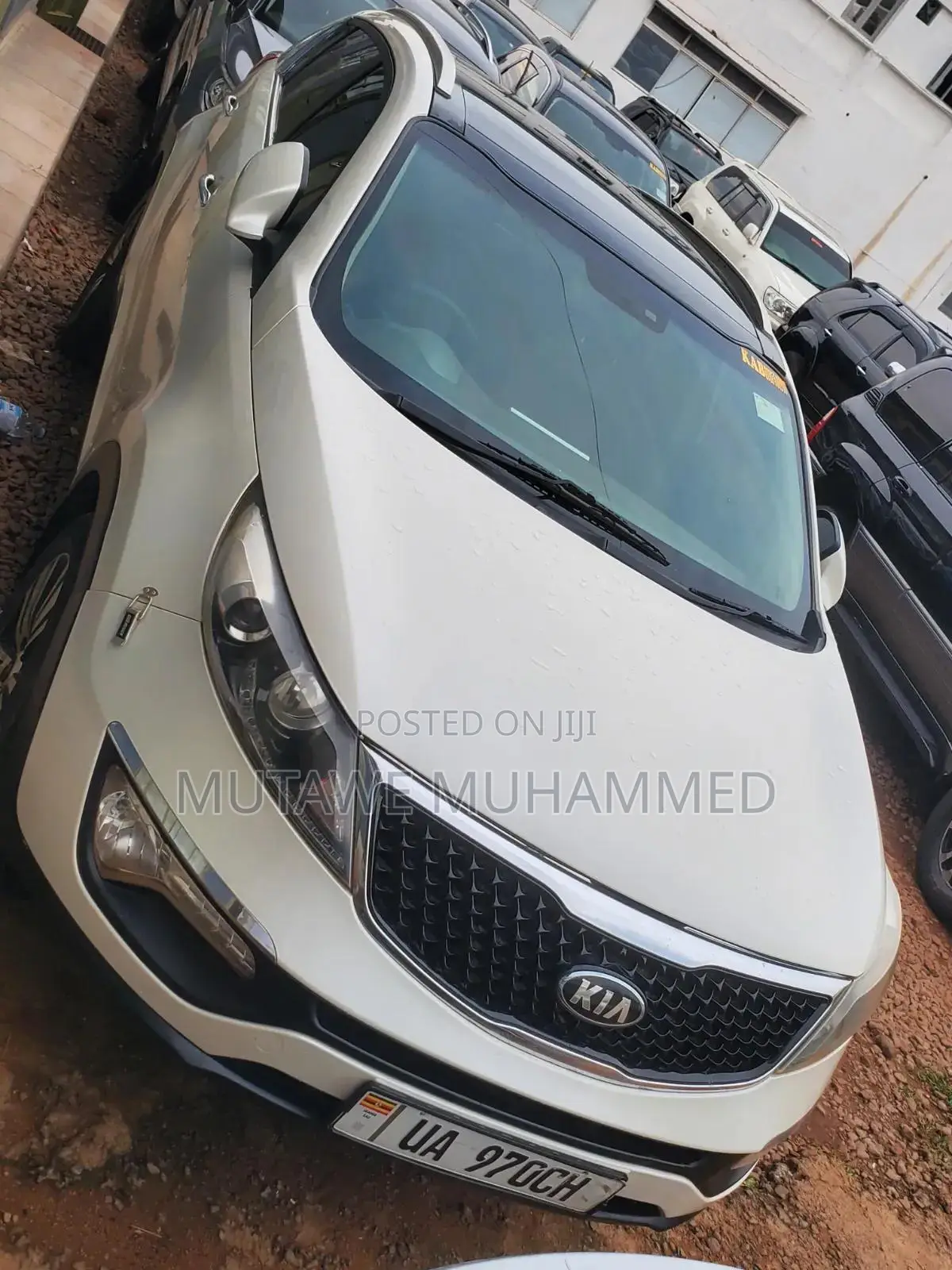 Kia Sportage 2015 White