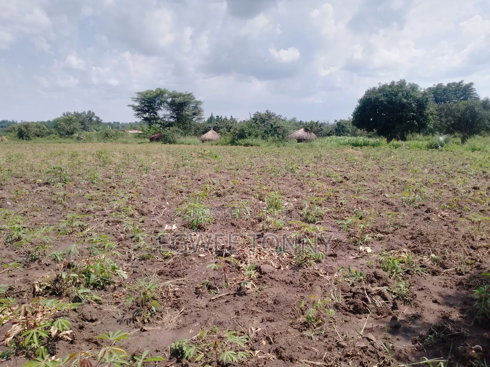 1 Full Accre of the Land on Quick Sale Near Lira City