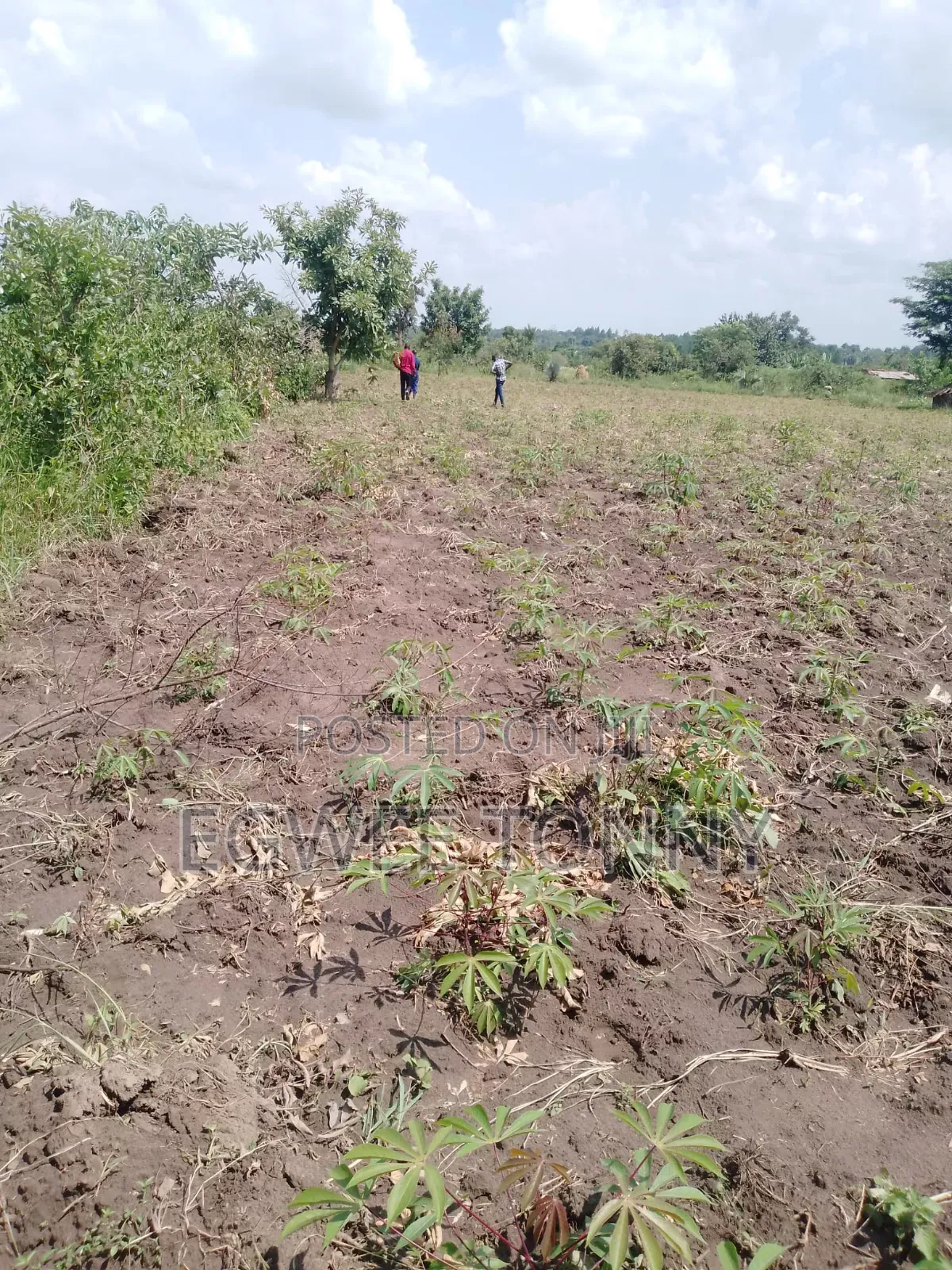 1 Full Accre of the Land on Quick Sale Near Lira City