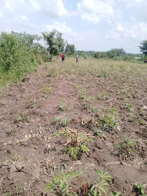 1 Full Accre of the Land on Quick Sale Near Lira City