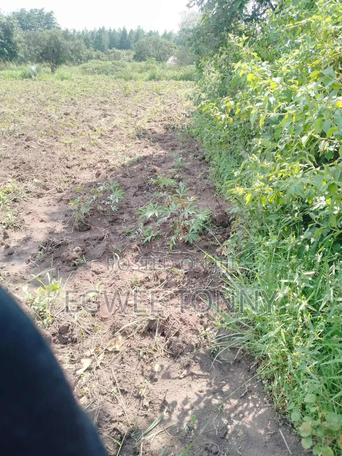 1 Full Accre of the Land on Quick Sale Near Lira City