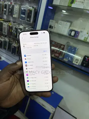 Apple iPhone 16 Pro Max 256 GB Silver