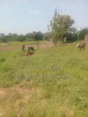 Land on Quick Sale in Lira City Location Is at Ireda