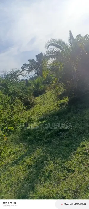 Lake View Land for Sale