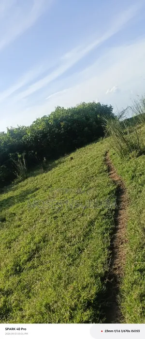 Lake View Land for Sale