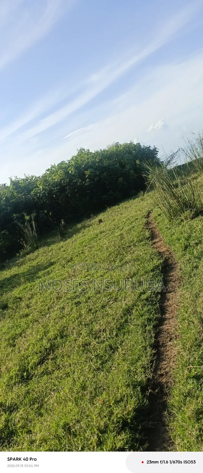 Lake View Land for Sale