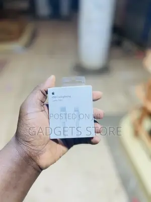 Apple USB-C to Lightning Cable (1m)