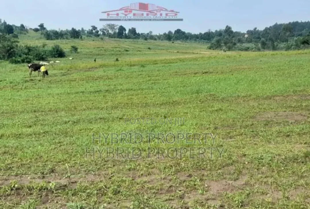 Prime Plots for Sale at Busiika~Vumba Elite Estate~Gayaza Rd