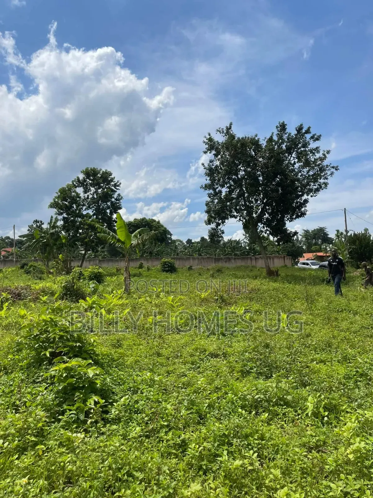 Plots for Sale Located in Kiwenda-Nazareth