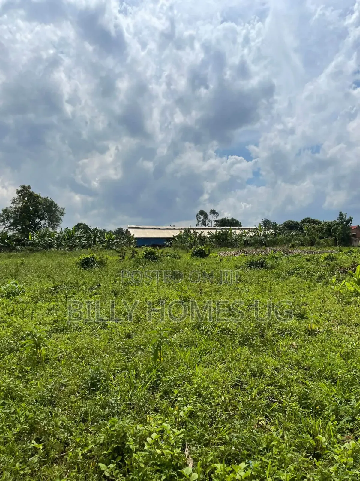 Plots for Sale Located in Kiwenda-Nazareth