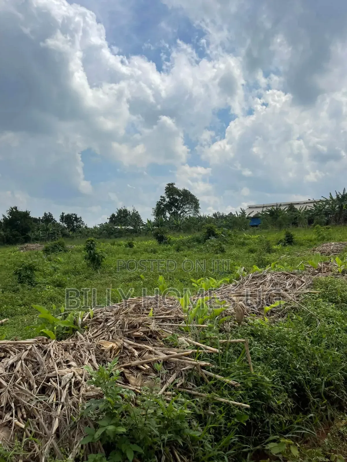 Plots for Sale Located in Kiwenda-Nazareth