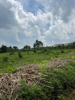Plots for Sale Located in Kiwenda-Nazareth
