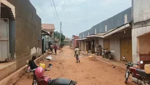 Kireka Kamuli Road 5 Shops Plus 14 Single Rooms on Sale at 350m