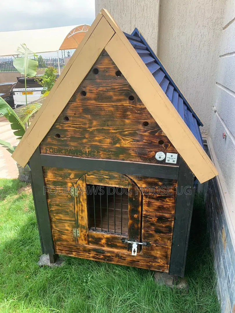 Single Dog House
