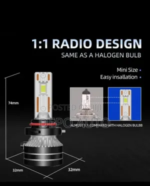 Led Car Bulbs