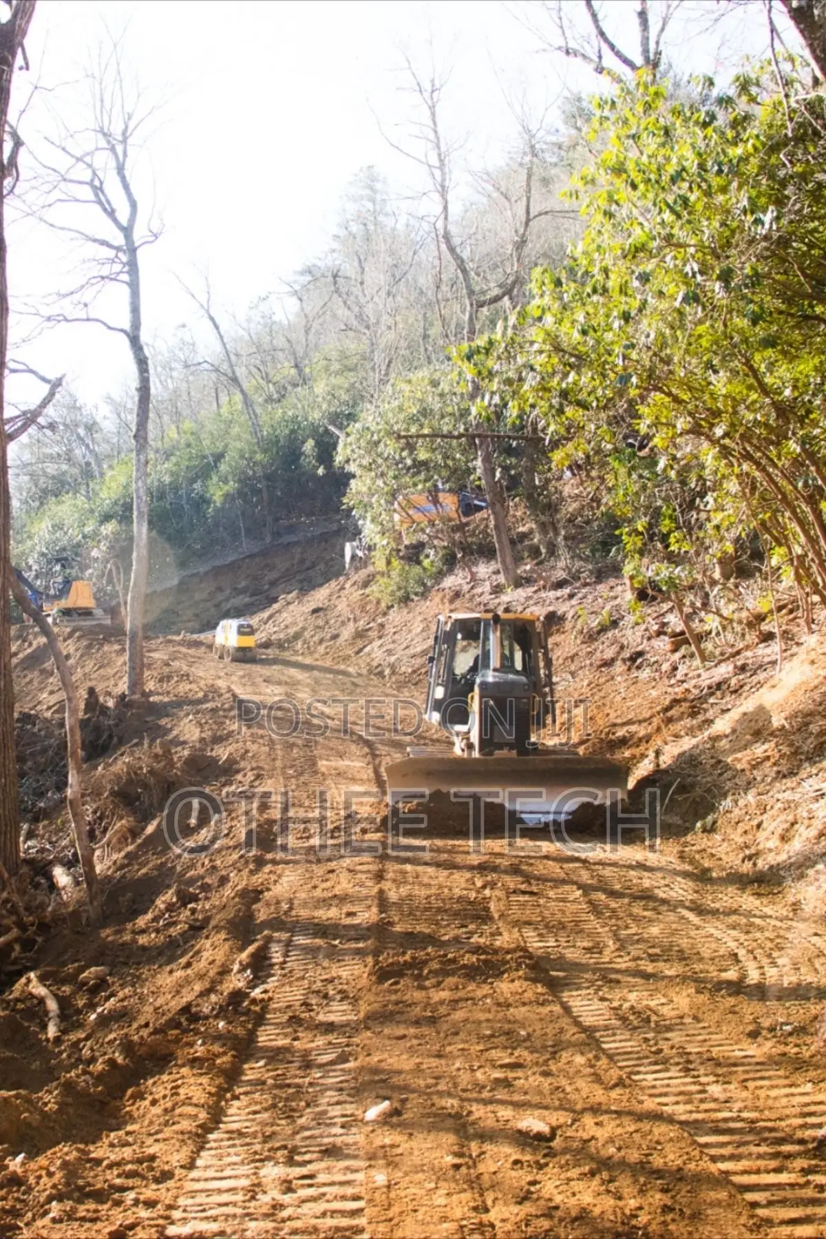 Road Reserve Restoration