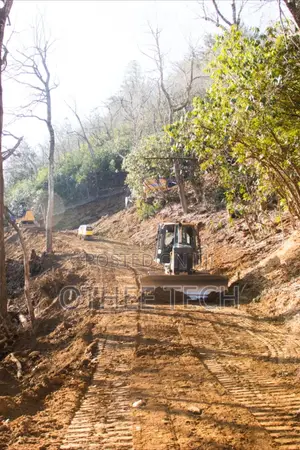 Road Reserve Restoration