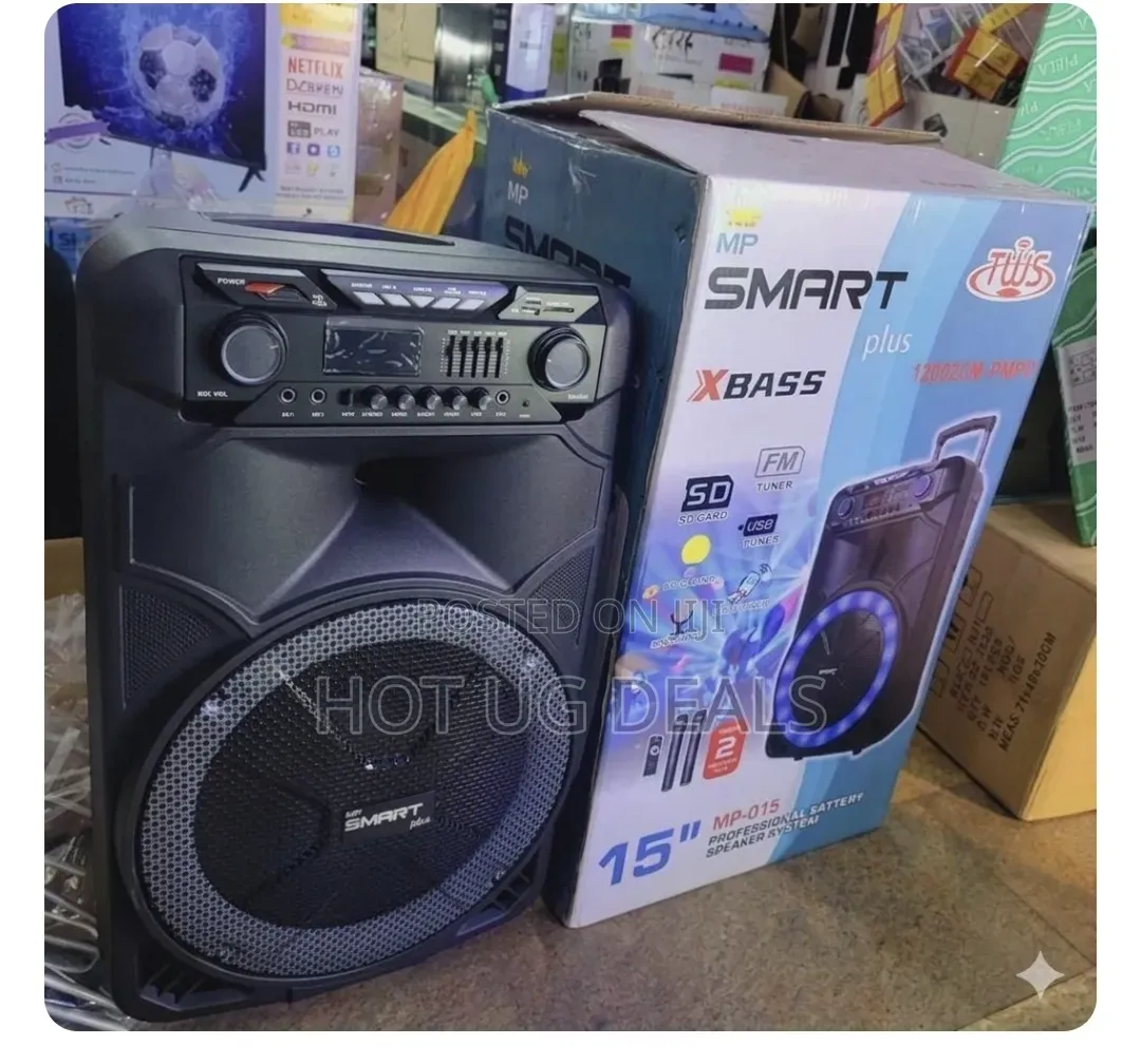 15" Professional Rechargeable Party Speaker System With 2 Wireless Mic