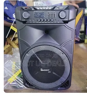 15" Professional Rechargeable Party Speaker System With 2 Wireless Mic