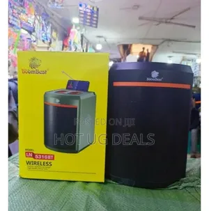 BoomBest LN-5316BT BIG Bluetooth Speaker With FM Radio, USB TF