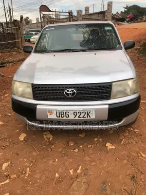 Toyota Probox 1.5 DX 4WD 2007 Silver