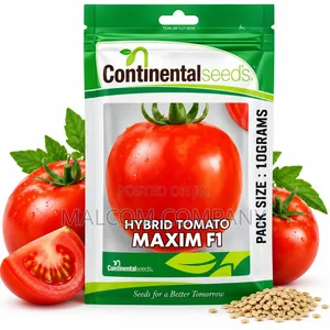 Indeterminate Hybrid Tomato Seeds 10g–creeping Tomato Seeds in Uganda