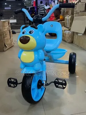 Blue Ark Kids Tricycle